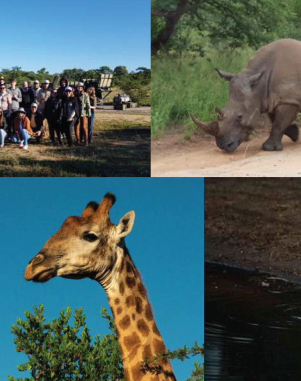 África do Sul com amigos 2020