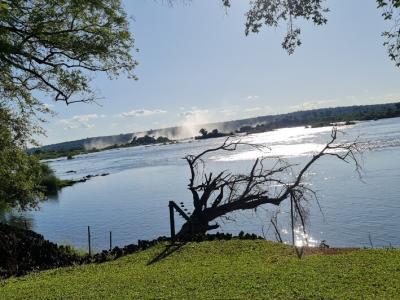Imagem do projeto