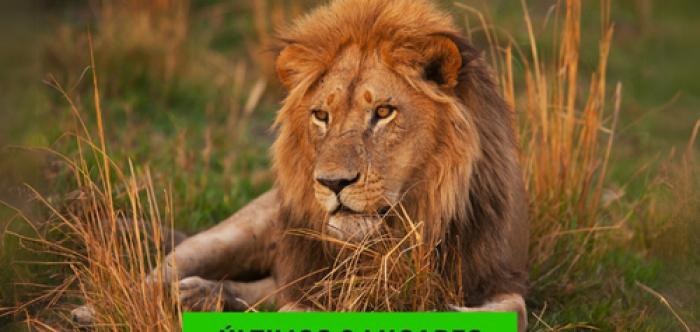 ÁFRICA DO SUL - SAFARIS, VINHOS E GASTRONOMIA - 2026