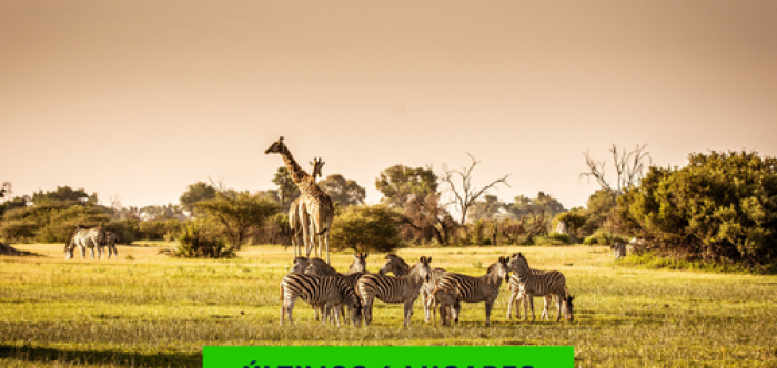FÉRIAS NA ÁFRICA DO SUL 2026