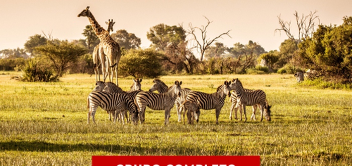 FÉRIAS NA ÁFRICA DO SUL - 2026