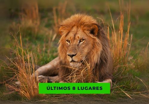 ÁFRICA DO SUL - SAFARIS, VINHOS E GASTRONOMIA - 2026