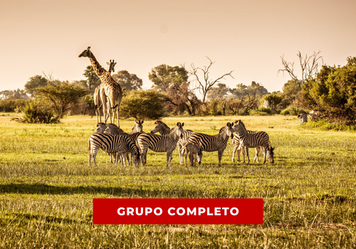 FÉRIAS NA ÁFRICA DO SUL - 2026